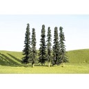 Conifer Trees 3"-4" (9pk)