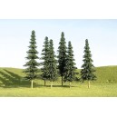 Spruce Trees 3"-4" (9pk)