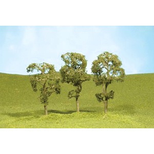 Maple Trees 2 1/2"-2 3/4" (4pk)